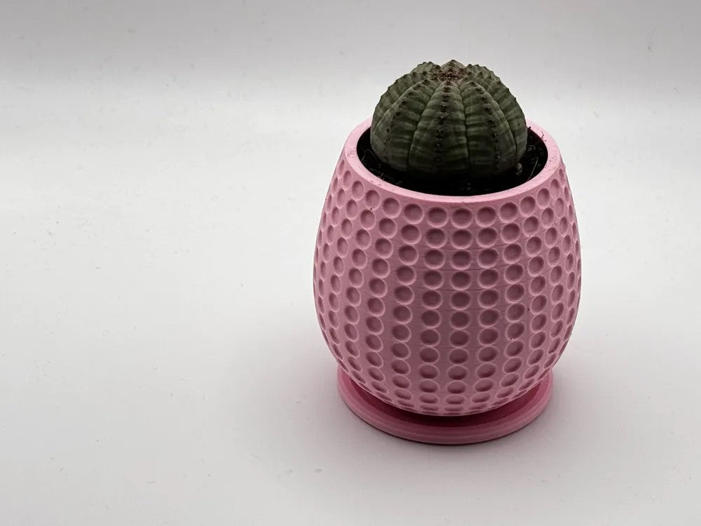 planter - concave circles