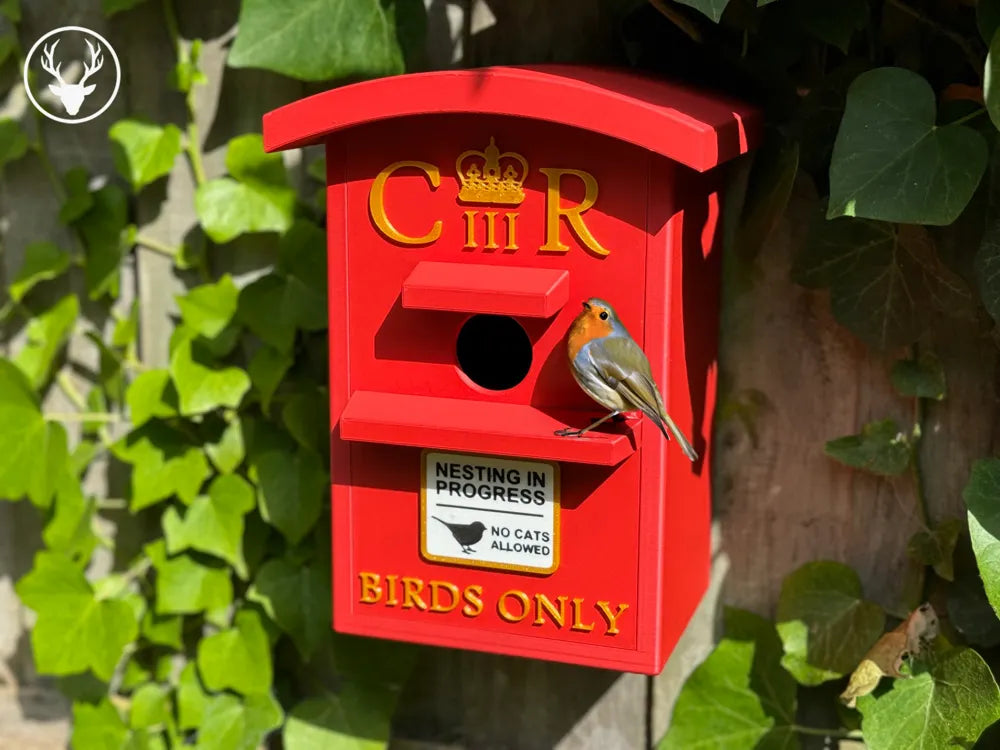 Royal Bird Box