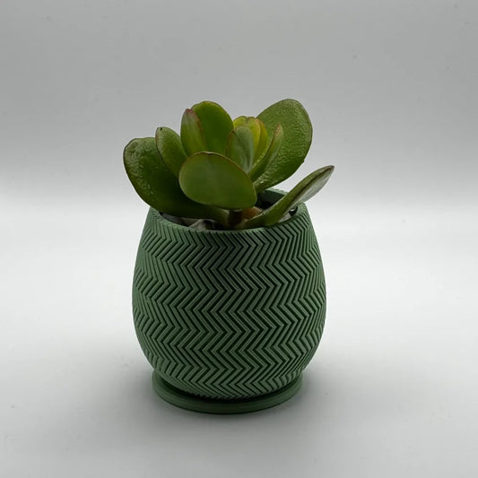 planter with zigzag pattern