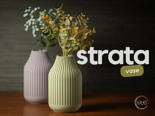 strata · vase